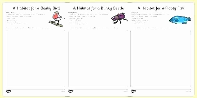 2nd Grade Habitat Worksheets Awesome Free Insect Worksheets