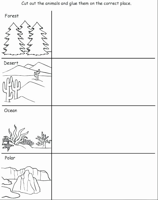 2nd Grade Habitat Worksheets Awesome Resources Phonics Digraphs Worksheets H Worksheet Word Bank