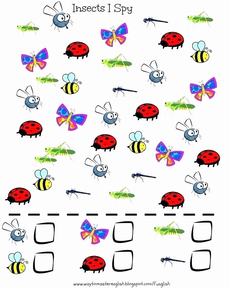 2nd Grade Habitat Worksheets Best Of Insect Worksheets for 2nd Grade
