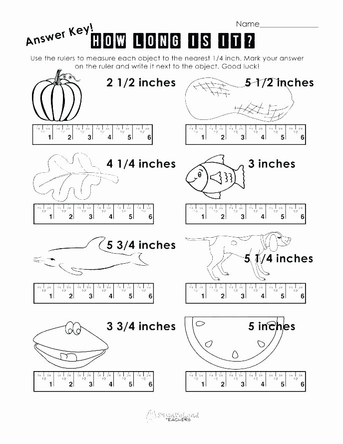 2nd Grade Measurement Worksheet Measuring Worksheets Inches – butterbeebetty