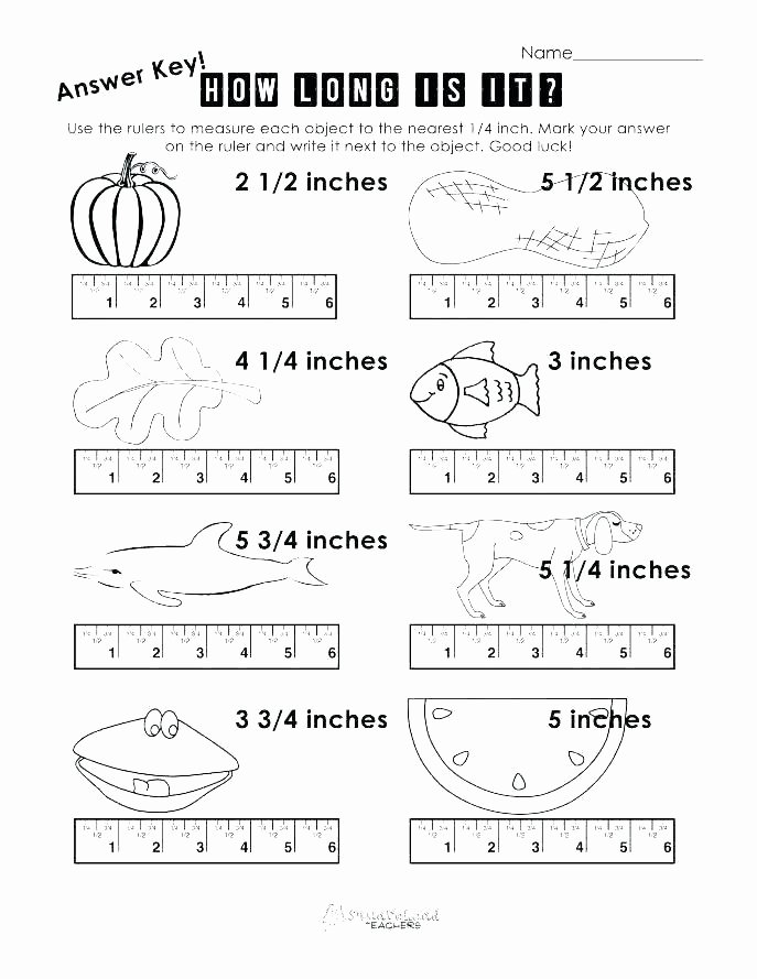2nd Grade Measurement Worksheets Free Measurements Worksheets for Grade 2 – Openlayers