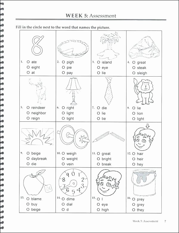 2nd Grade Spelling Worksheets Grade Worksheets for 2nd Writing Spelling Free Fresh