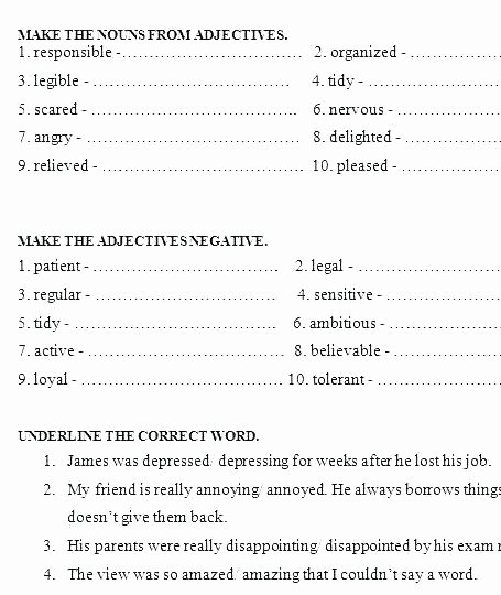 3rd Grade Adjectives Worksheets Kinds Of Adjectives Worksheets with Answers