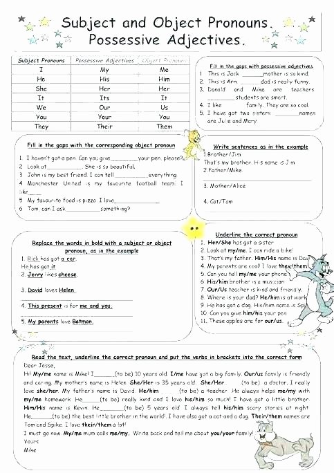 3rd Grade Adjectives Worksheets Possessive Nouns Worksheets Adjectives Worksheet for Grade 1