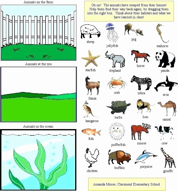 3rd Grade Habitat Worksheets Animals In their Habitats Worksheets