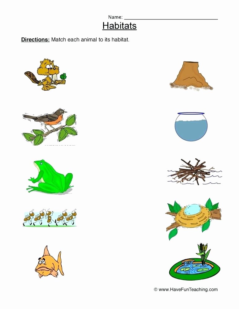 3rd Grade Habitat Worksheets Word Matching Worksheets A Reading Class Work Kindergarten