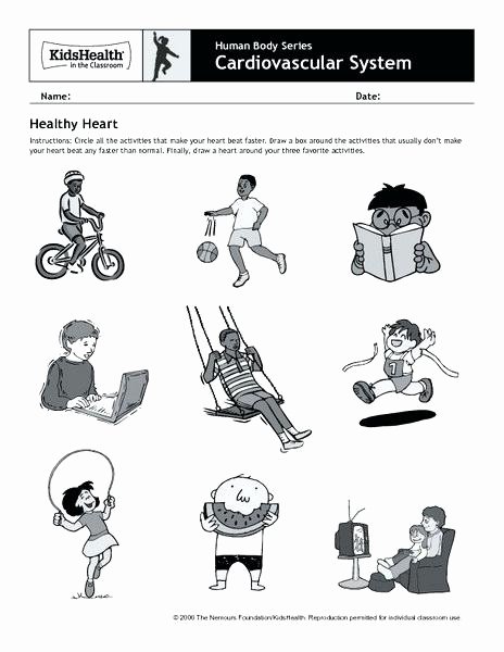 3rd Grade Human Body Worksheets Human Body Worksheets for First Grade Series Cardiovascular