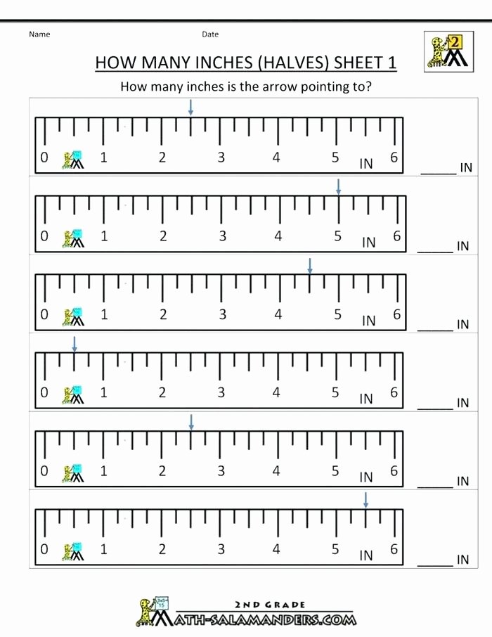 3rd Grade Measuring Worksheets 2nd Grade Measurement Worksheets Free Small Size Printable