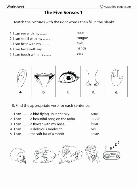 5 Senses Kindergarten Worksheets 5 Senses Matching Worksheet Worksheet for Kids Maths