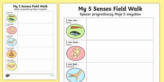 5 Senses Kindergarten Worksheets Five Senses Field Walk Worksheet Worksheet Polish