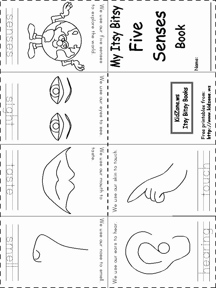 5 Senses Kindergarten Worksheets Free 5 Senses Worksheet for Kids Crafts and Worksheets