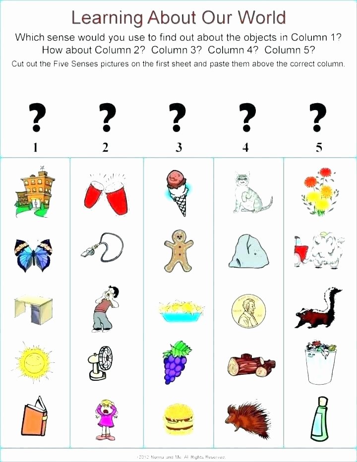 5 Senses Kindergarten Worksheets Kindergarten Body Worksheets