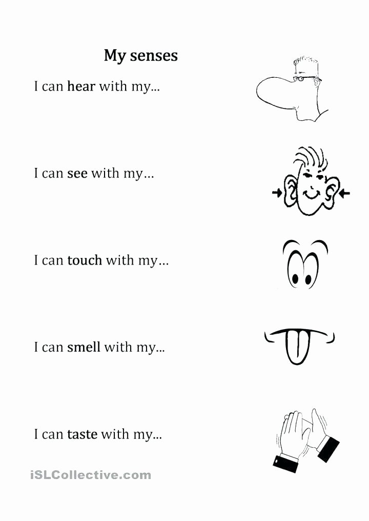 5 Senses Printable Worksheets Collection Kindergarten Worksheet the Five Senses