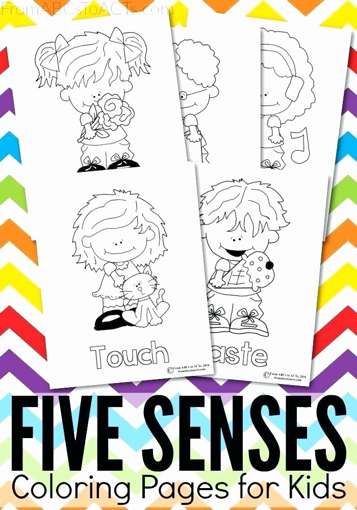 5 Senses Printable Worksheets My Five Senses Coloring Pages – Club Osijek