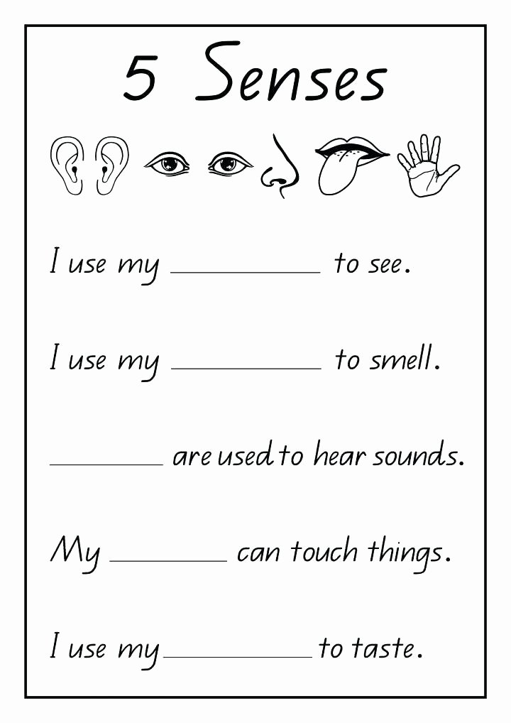 5 Senses Worksheet for Kindergarten Kindergarten Science Worksheets Printable Plants Worksheets