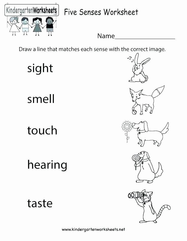 5 Senses Worksheet for Kindergarten Sensory Words Worksheet Exercises with Answers