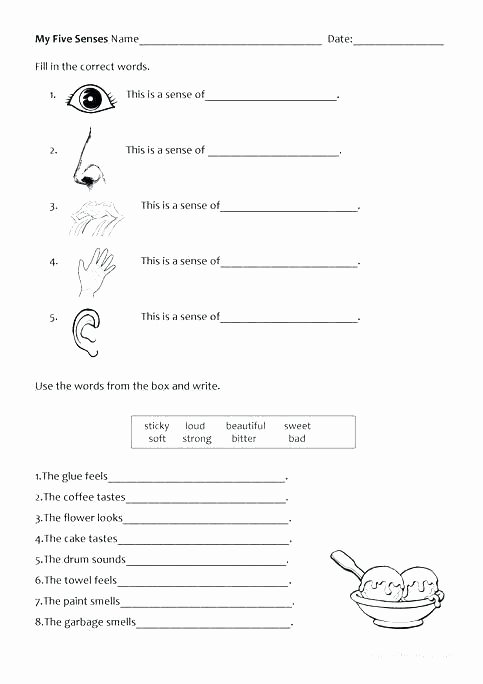5 Senses Worksheet Preschool Kindergarten Science Worksheets Five Senses
