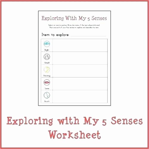 5 Senses Worksheets for Kindergarten 3rd Grade Activity Worksheets Exploring with My 5 Senses