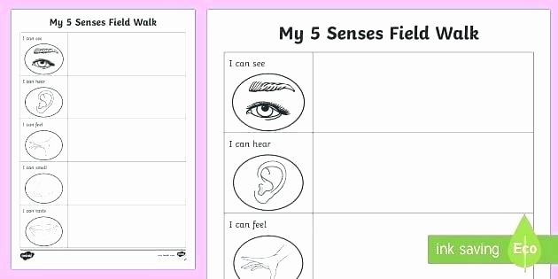 5 Senses Worksheets for Kindergarten 5 Senses for Kindergarten Worksheets Related Sense