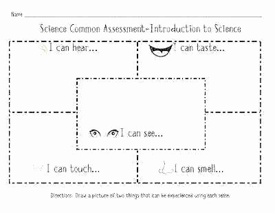 5 Senses Worksheets for Kindergarten Kindergarten Ience Worksheets Five Senses Inside Printable