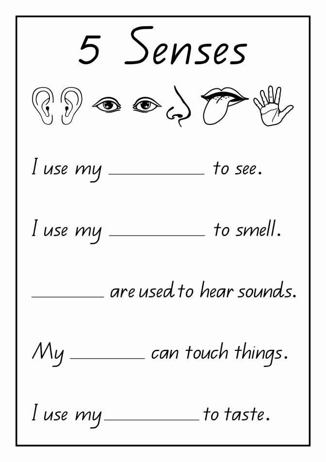 5 Senses Worksheets for Kindergarten Phenomenal Five Senses Coloring Pages for Preschool Sense
