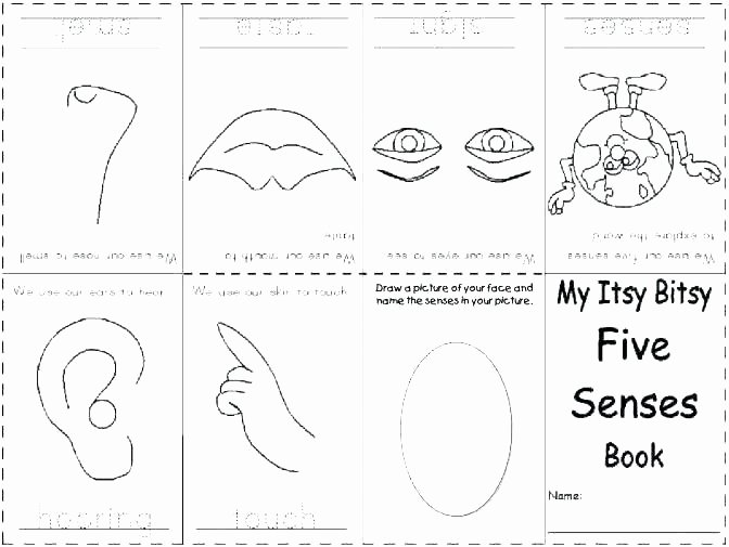 5 Senses Worksheets for Kindergarten Sensory Worksheets Sense Taste Worksheets for