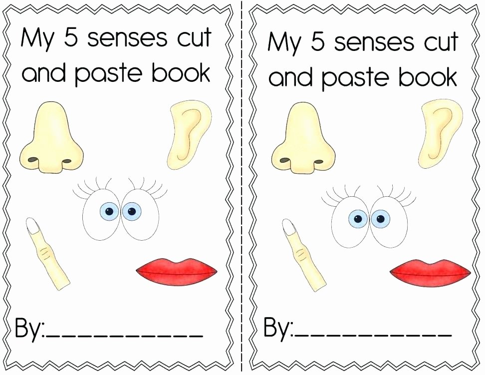 5 Senses Worksheets Kindergarten Kindergarten Science Worksheets Pdf