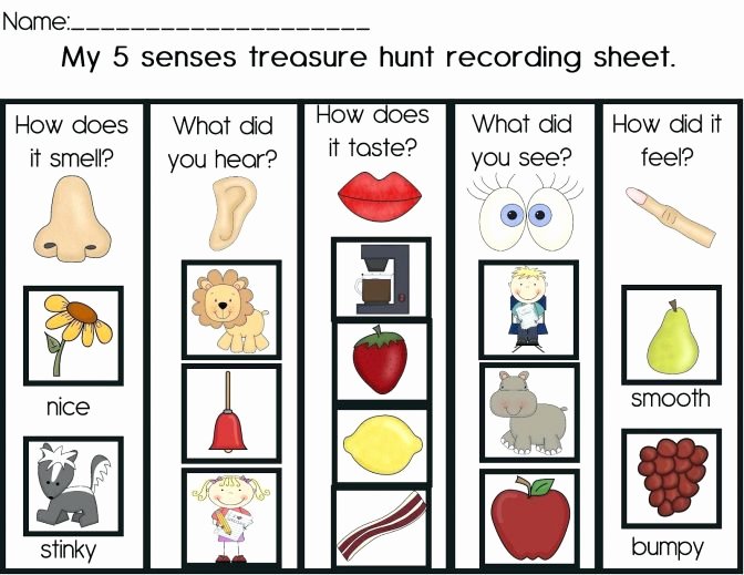 5 Senses Worksheets Kindergarten Preschool Worksheet Senses New Five Worksheets