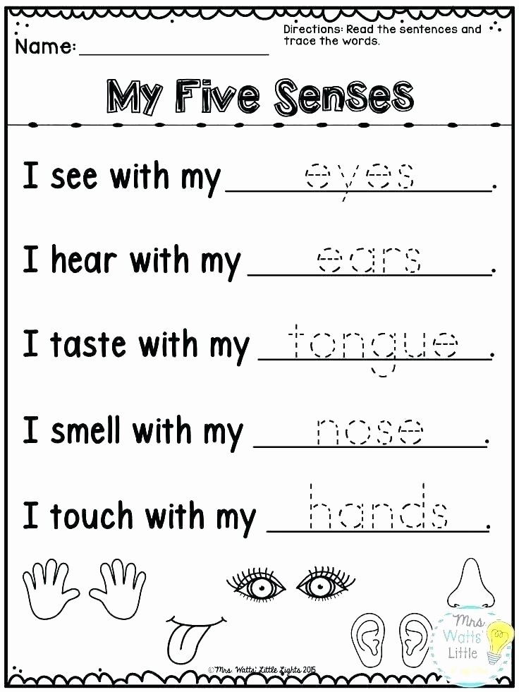 5 Senses Worksheets Kindergarten Worksheets for Kindergarten Kids Addition Preschool