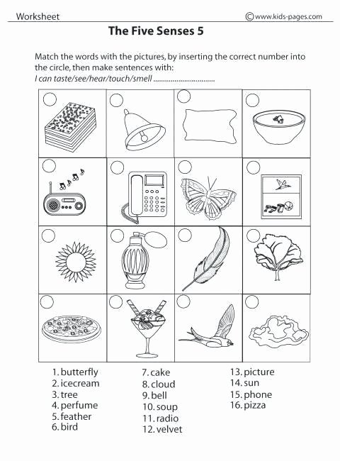 5 Senses Worksheets Pdf 1 Five Sense Worksheet Five Senses Kindergarten Worksheets