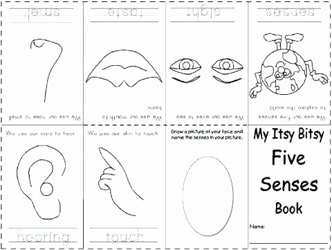 5 Senses Worksheets Pdf Kindergarten Science Worksheets Pdf