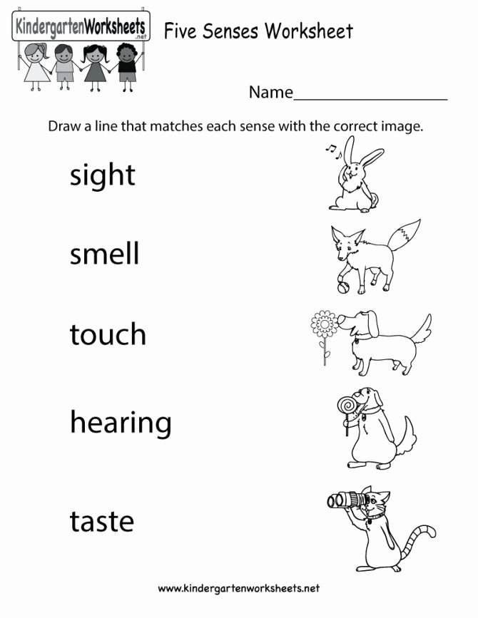 science worksheets for kindergarten free printable five senses worksheet learning printables 670x867