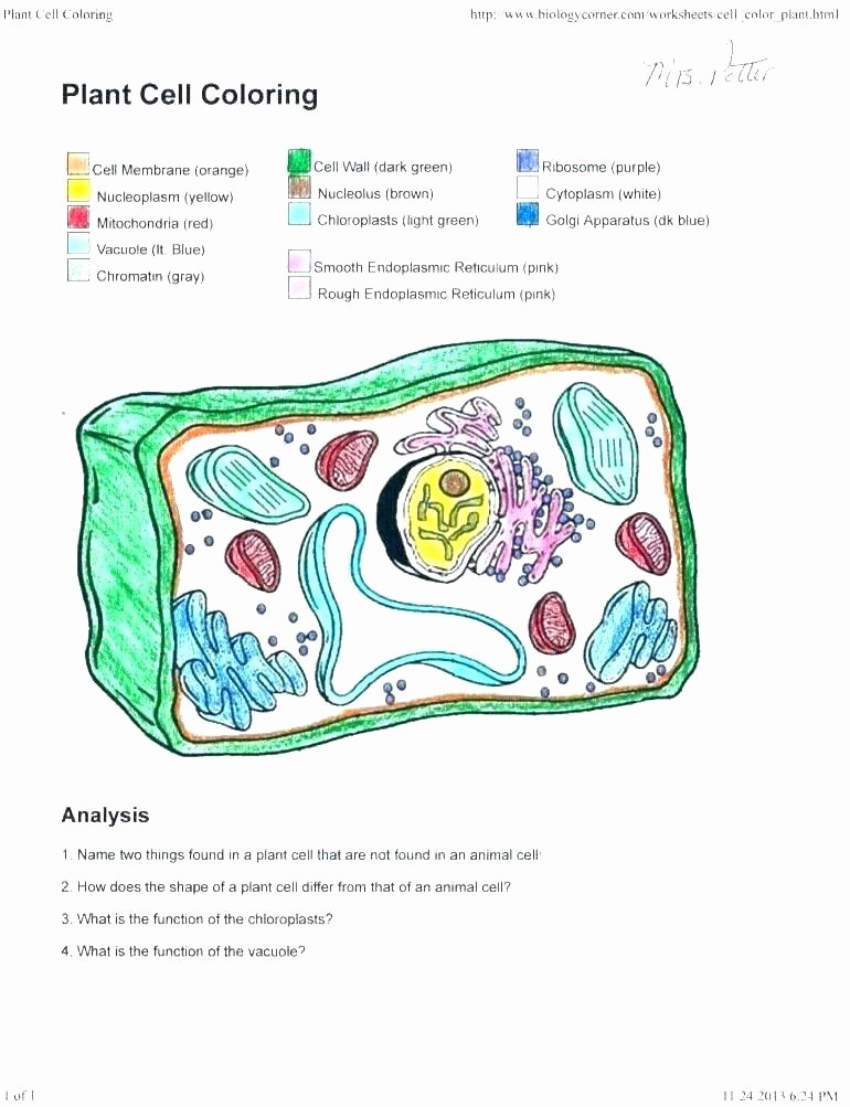 5th Grade Cell Worksheets Animal and Plant Cell Worksheets Labelling Cells Worksheet