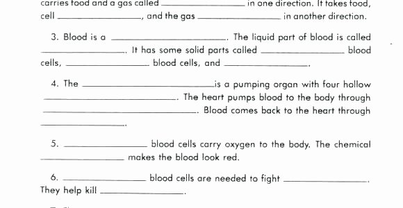 5th Grade Cell Worksheets Inside the Living Body Worksheet Beautiful organization