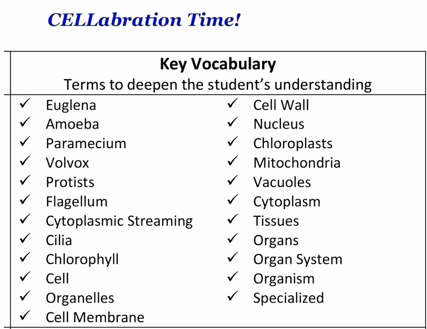 5th Grade Cell Worksheets Year 5 Science Worksheets