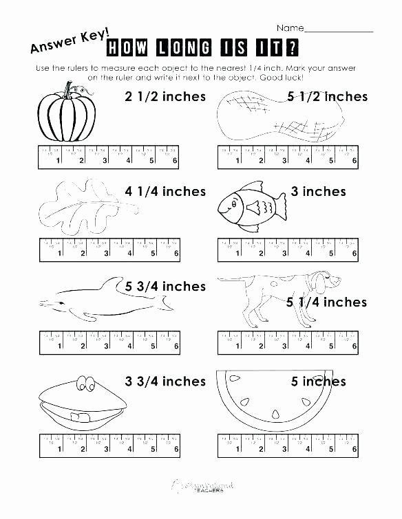 5th Grade Measurement Worksheet 4th Grade Math Measurement Worksheets