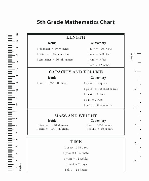5th Grade Metric Conversion Worksheets Metric System Worksheets 4th Grade