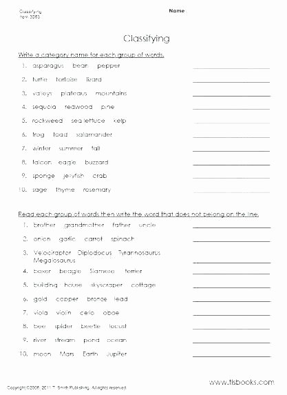 5th Grade Science Worksheets Pdf First Grade Science Worksheets