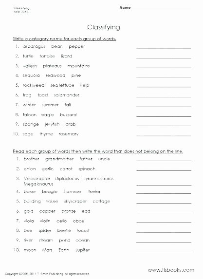 6th Grade Reading Worksheets Reading Prehension Worksheets Grade 6th Free with Answer Key