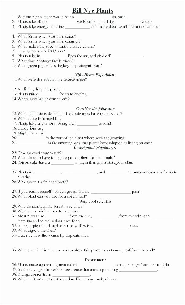 6th Grade Science Energy Worksheets Electricity Worksheets Grade 6