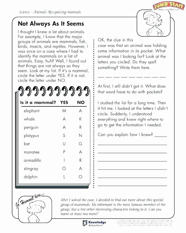 7th Grade Language Arts Worksheets Fun Ela Worksheets How to Carve A Pumpkin Worksheet Fun