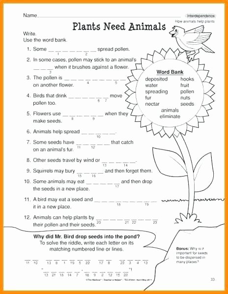 7th Grade Science Worksheets Best Of Free 7th Grade Science Worksheets