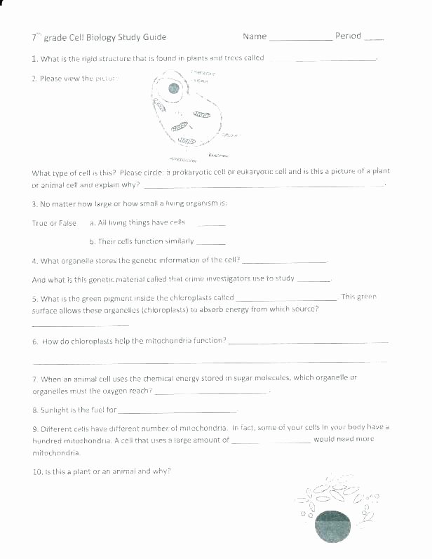 7th Grade Science Worksheets Pdf Lovely Properties Matter Worksheet 2 Changes In Worksheets Grade