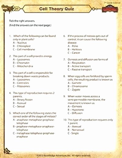 7th Grade Science Worksheets Pdf Luxury Free 7th Grade Science Worksheets