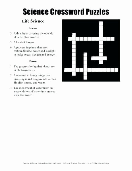 8th Grade Math Vocabulary Crossword Lovely Grade Printable Worksheets Free Math Luxury Science Science