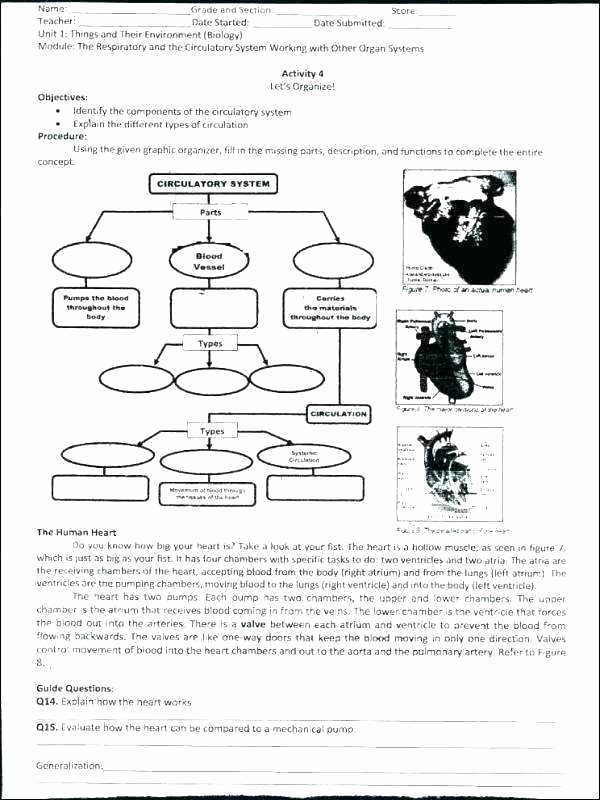8th Grade Science Worksheets Pdf Best Of First Grade Science Worksheets Pdf