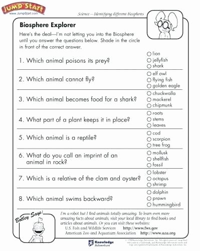 8th Grade social Studies Worksheets Free Printable Grade social Stu S Worksheets Download Page