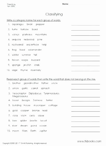 8th Grade Vocabulary Worksheets Third Grade Science Vocabulary Worksheets Fun 3 4 Worksheet