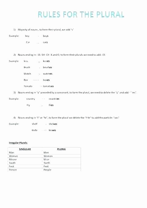 Adding S and Es Worksheets Plural Rules Worksheets