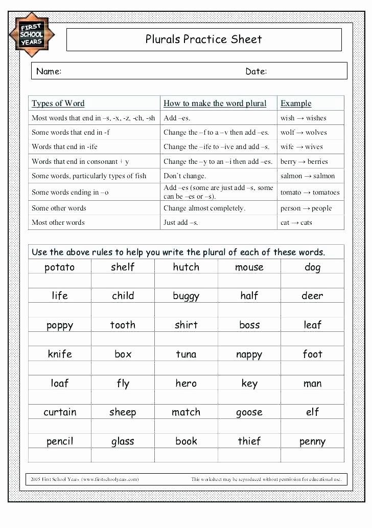 Adding S and Es Worksheets Plural Rules Worksheets